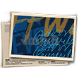 EVOS Champion Banner